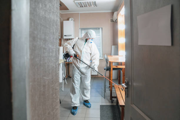 Best Post-Construction Mold Inspection  in Winona, MN