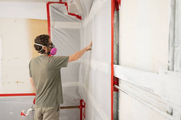 Best Mold Prevention Services  in Winona, MN
