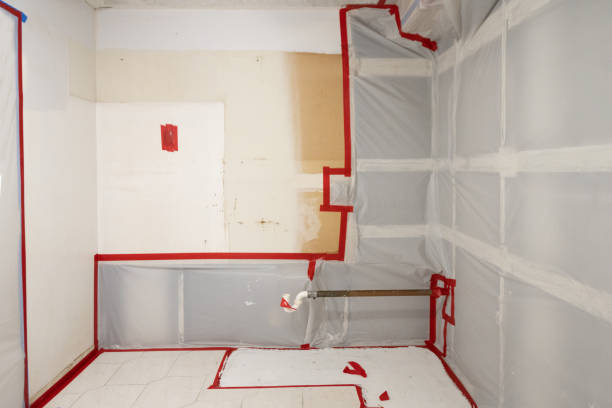 Best Environmental Consulting for Mold Prevention  in Winona, MN