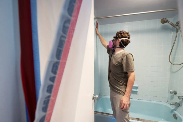 Best HVAC Mold Inspection and Cleaning  in Winona, MN