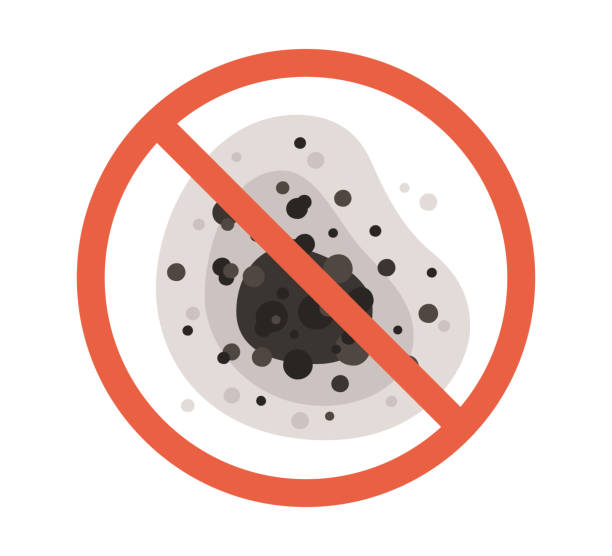 Reliable Winona, MN Mold Removal Solutions
