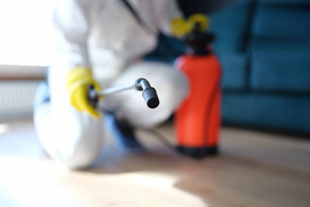 Best Post-Construction Mold Inspection  in Winona, MN